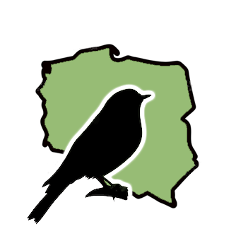 Birdguide Poland logo